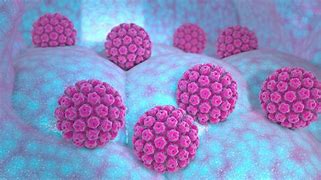 Papillomavirus humain et cancer